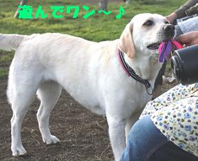 WOOFで再会♪その3_e0195743_2342458.jpg