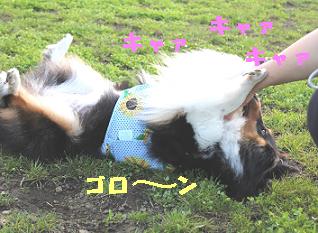 WOOFで再会♪その3_e0195743_2343729.jpg