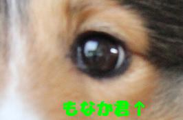WOOFで再会♪その3_e0195743_5295254.jpg