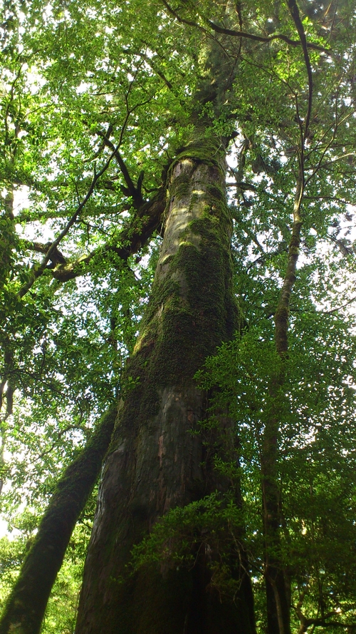f0229844_2258539.jpg