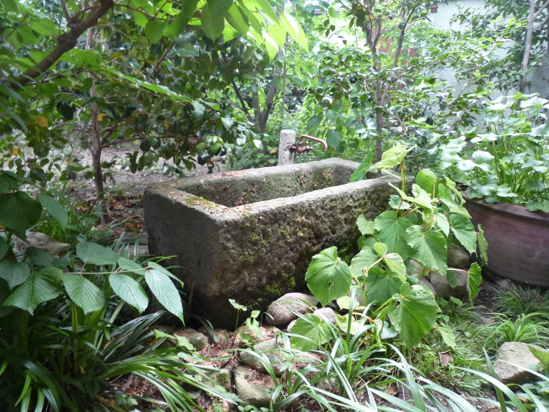 c0112447_21121151.jpg