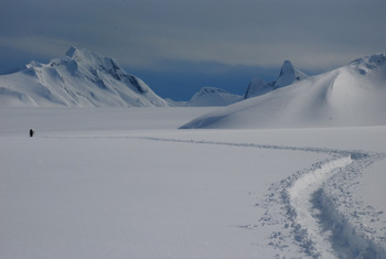  Atlin → Juneau Ski Traverse Day6_f0145348_14472833.jpg