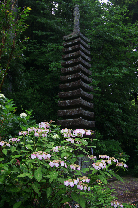 岩船寺の紫陽花_f0155048_21321981.jpg
