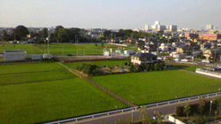 癒される窓からの景色_e0010353_018467.gif