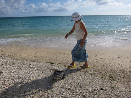 play at the beach._c0153966_1710882.jpg
