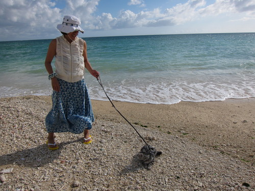 play at the beach._c0153966_1713548.jpg