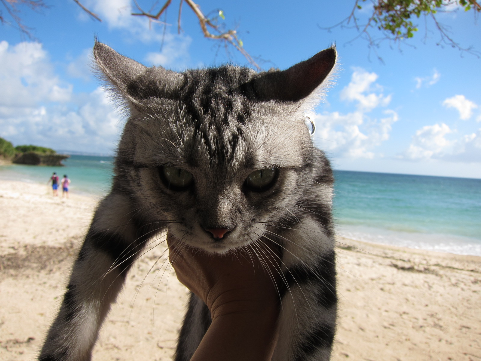 play at the beach._c0153966_17185335.jpg
