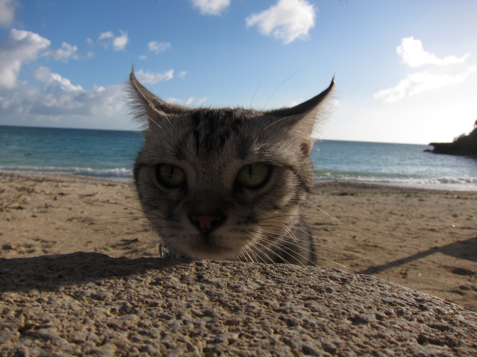 play at the beach._c0153966_17275872.jpg