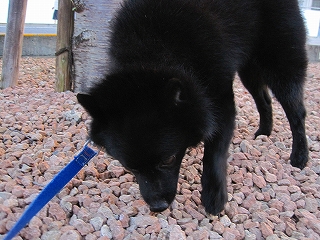 e0002466_5555974.jpg