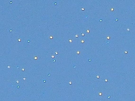 c0190267_22284132.jpg