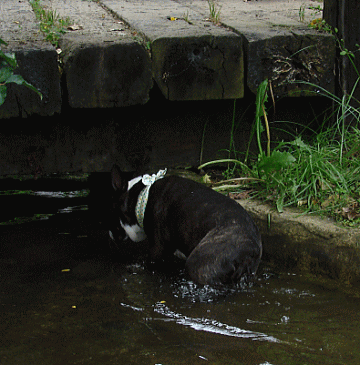 d0152869_2253624.gif