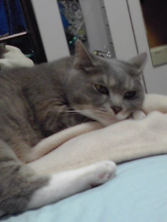 f0200871_22638.jpg