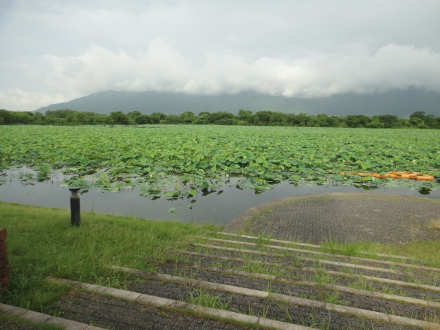 穂咲下野_f0137275_484690.jpg