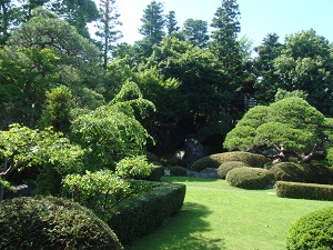 d0179679_1252972.jpg