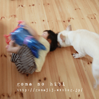 おもちゃ_b0180085_21131695.gif