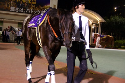 å¸çŽ‹è³žã¯ ã‚¹ãƒžãƒ¼ãƒˆãƒ•ã‚¡ãƒ«ã‚³ãƒ³ãŒï¼™é¦¬èº«å·®ã®åœ§å‹ã§é€ƒã'åˆ‡ã‚Šäº¤æµé‡è³žï¼'ï¼•å‹ç›® æ„›ã—ã®ã‚µãƒ©ãƒ–ãƒ¬ãƒƒãƒ‰å†™çœŸé¤¨