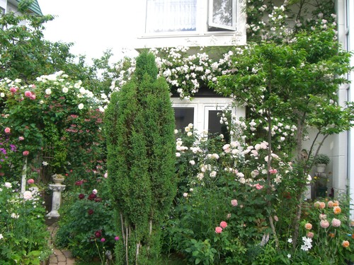 c0078586_23171230.jpg