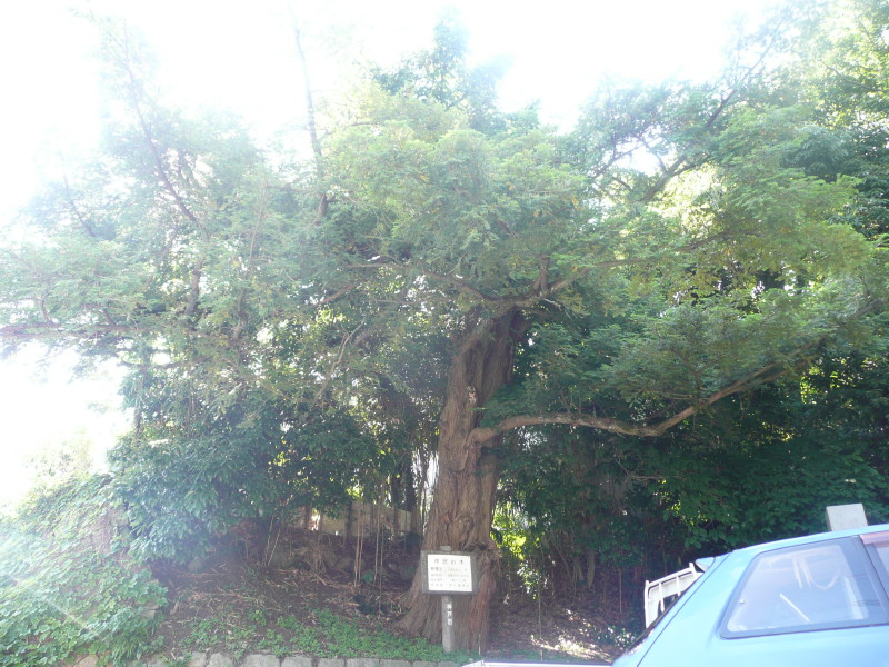 車　大歳神社 on 2011-6-28_b0118987_6144598.jpg