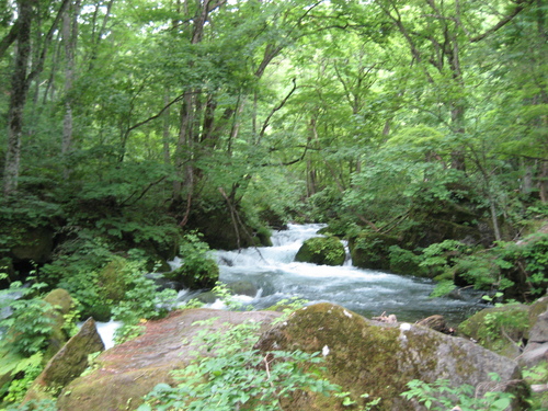f0117892_12362759.jpg