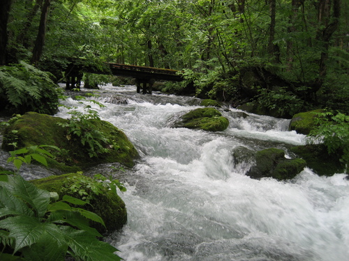 f0117892_12382694.jpg