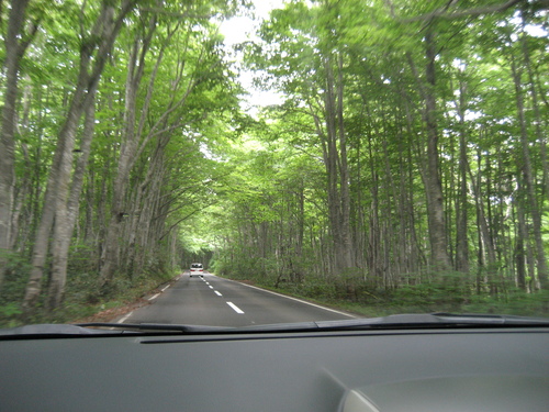 f0117892_1243574.jpg