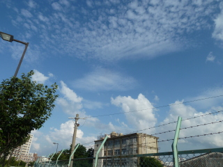 f0166694_19194564.jpg