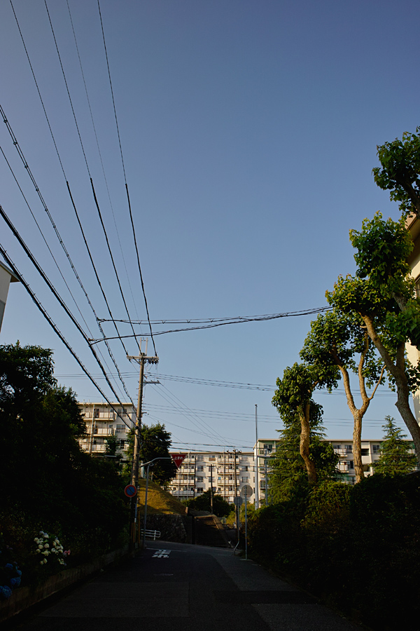 久しぶりな青空！_f0010196_20572029.jpg