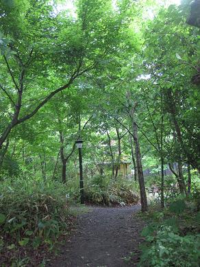 馬路村研修　（その3　ごっくん馬路村、東谷組合長）_f0017696_20162822.jpg