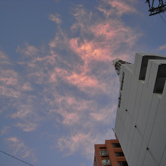c0049299_14455458.jpg