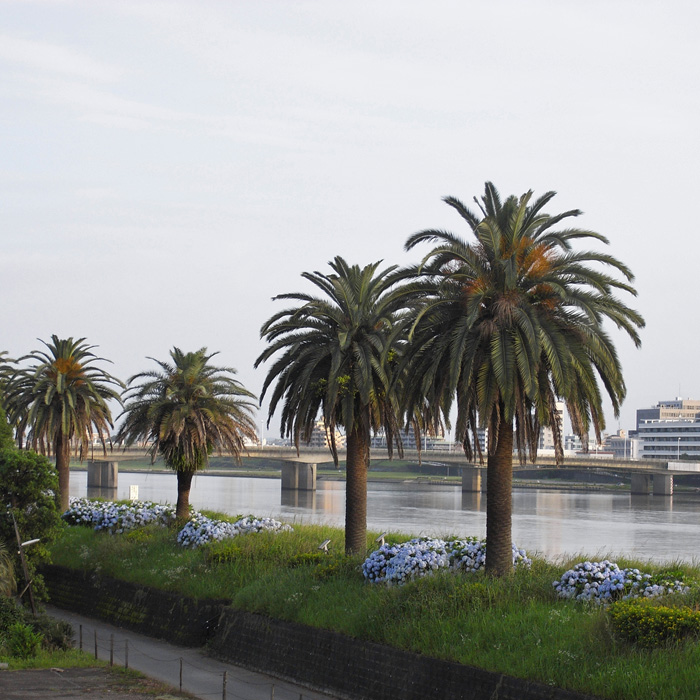 c0049299_14531915.jpg