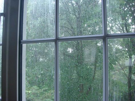雷雨_f0064906_18125289.jpg