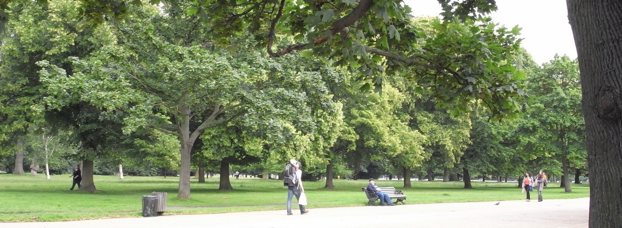 b0071410_3301952.jpg