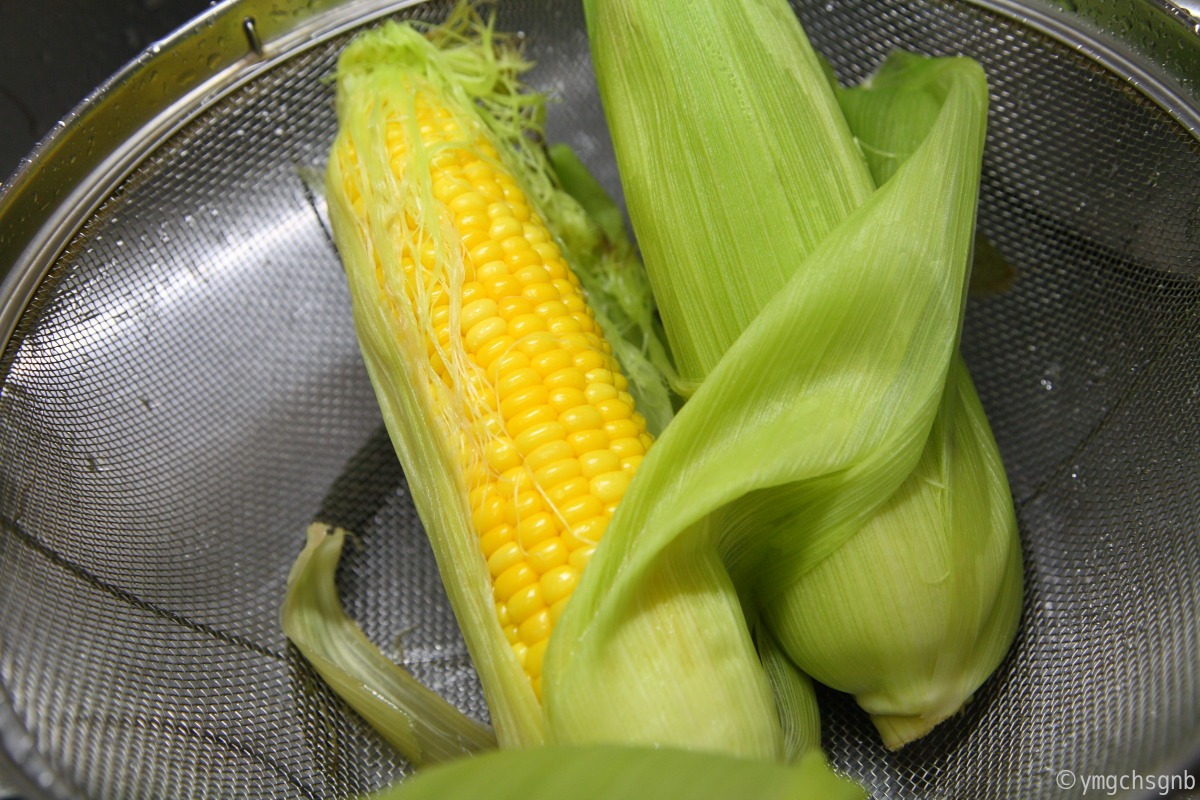 corn_f0157812_1540823.jpg