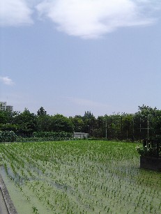 d0129713_1485386.jpg