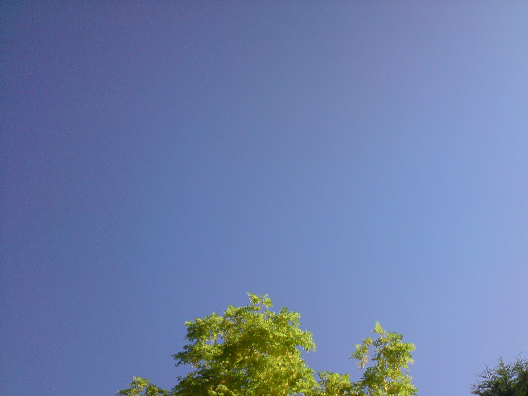 d0237913_03955.jpg