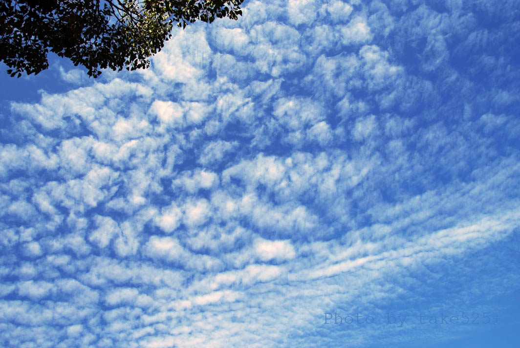 ９月の空 たびのそら２ 風景って 風の景 By Take525