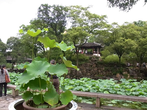 東洋のヴェネツィア・蘇州の旅_c0192215_6413573.jpg