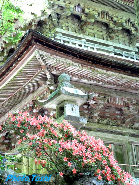 横蔵寺_b0223617_23415230.jpg