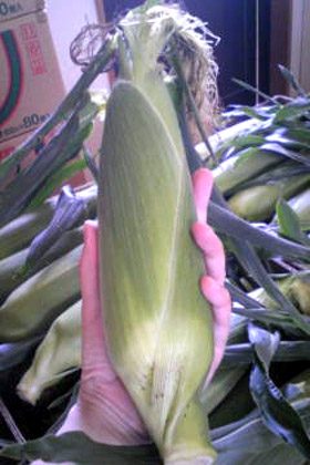 c0213817_16322445.jpg