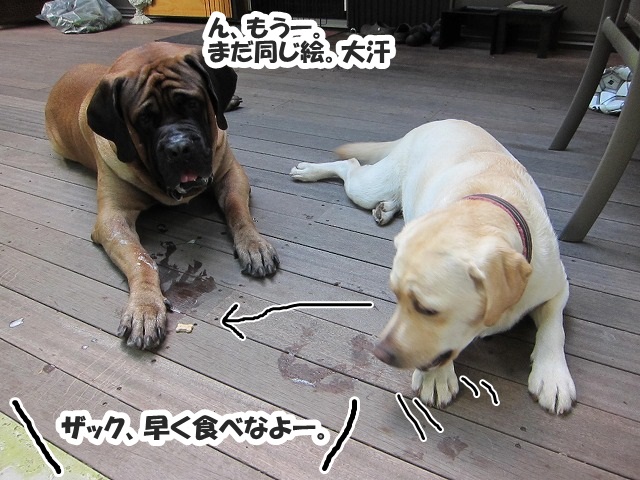 チャームポント?_e0192217_8111764.jpg