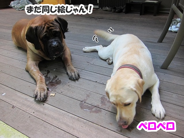 チャームポント?_e0192217_811682.jpg