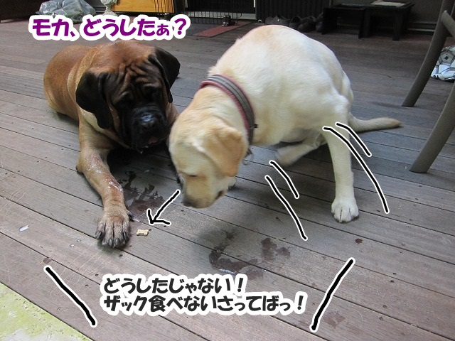 チャームポント?_e0192217_8123512.jpg