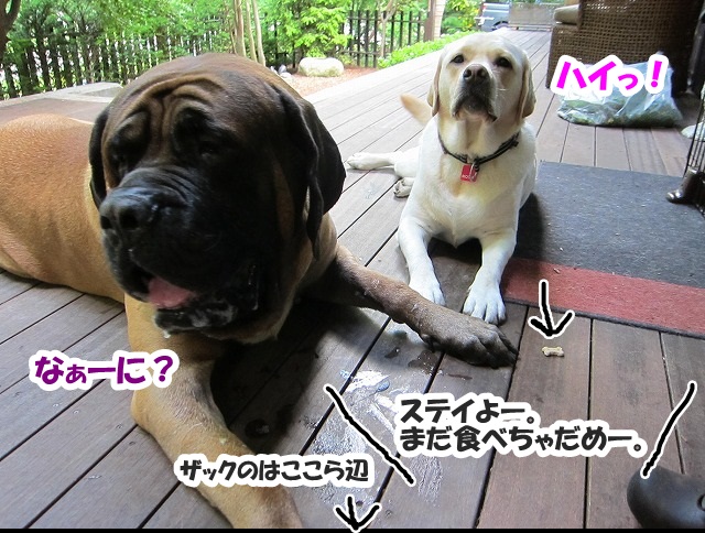 チャームポント?_e0192217_85556.jpg