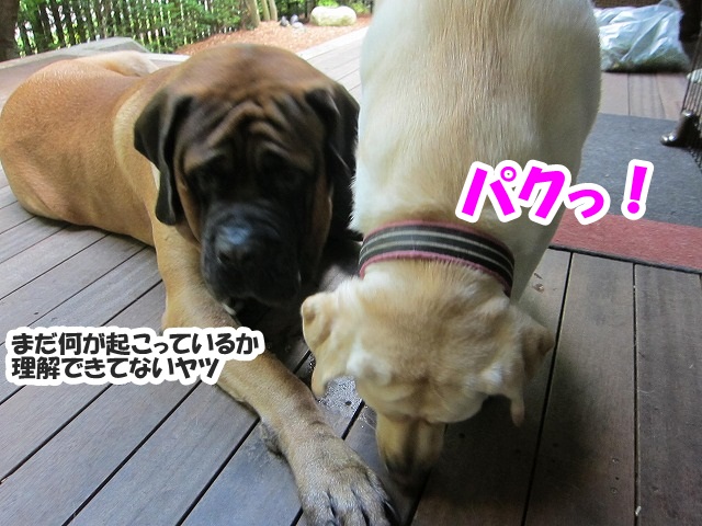 チャームポント?_e0192217_864148.jpg