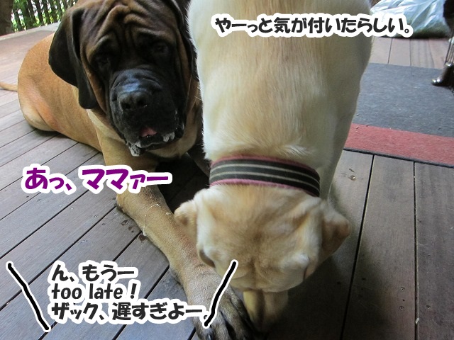チャームポント?_e0192217_864943.jpg