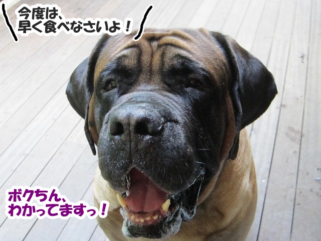 チャームポント?_e0192217_875586.jpg