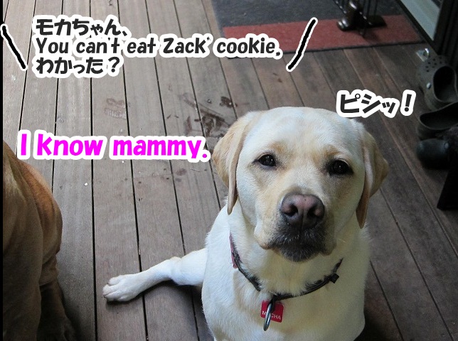 チャームポント?_e0192217_88721.jpg