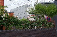 f0170524_13223831.jpg