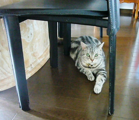 e0133535_00515.jpg