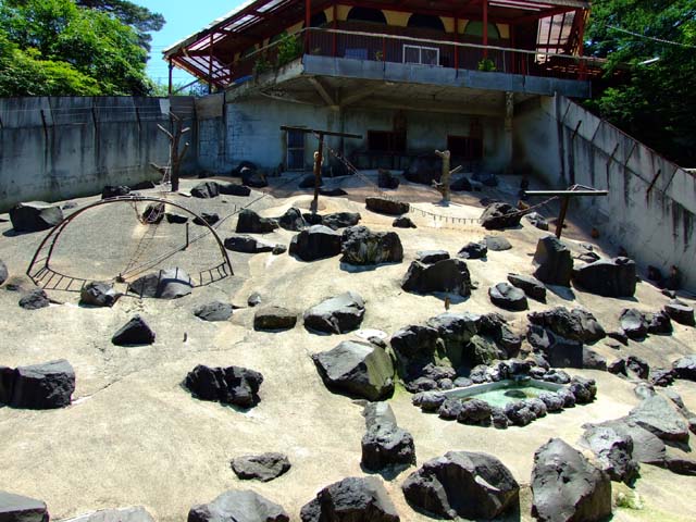 サル山に美白ブーム到来!_a0179837_10105069.jpg